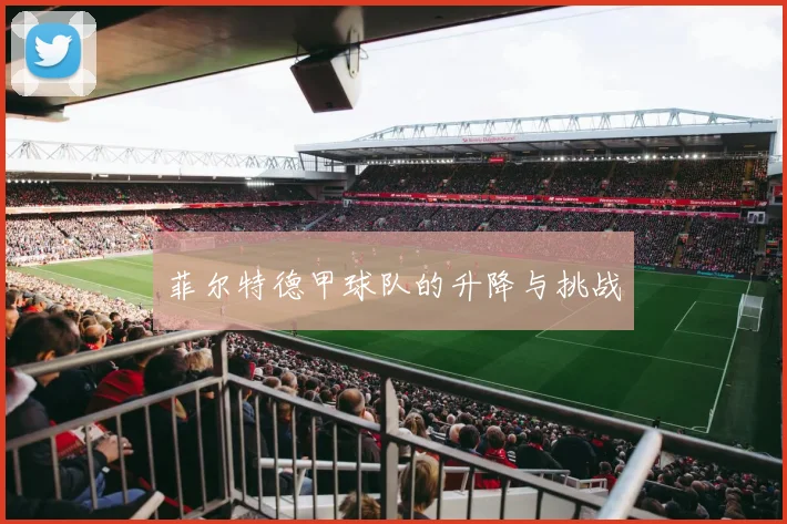 菲尔特德甲球队的升降与挑战
