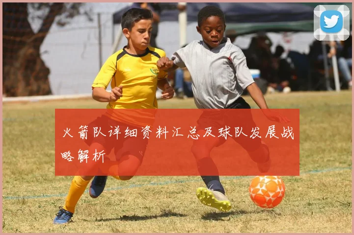 火箭队详细资料汇总及球队发展战略解析